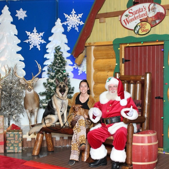 🍊🫐🍅SHARE SHOw LIVE/NUTRITION FUN 🍎🥑🌮🥯 - Picture 2 of 9